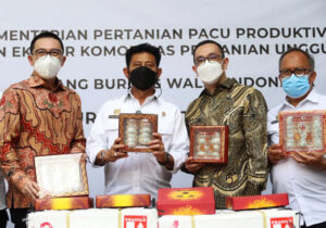 Sarang Burung Walet Indonesia - Produk Andalan Ekspor Indonesia