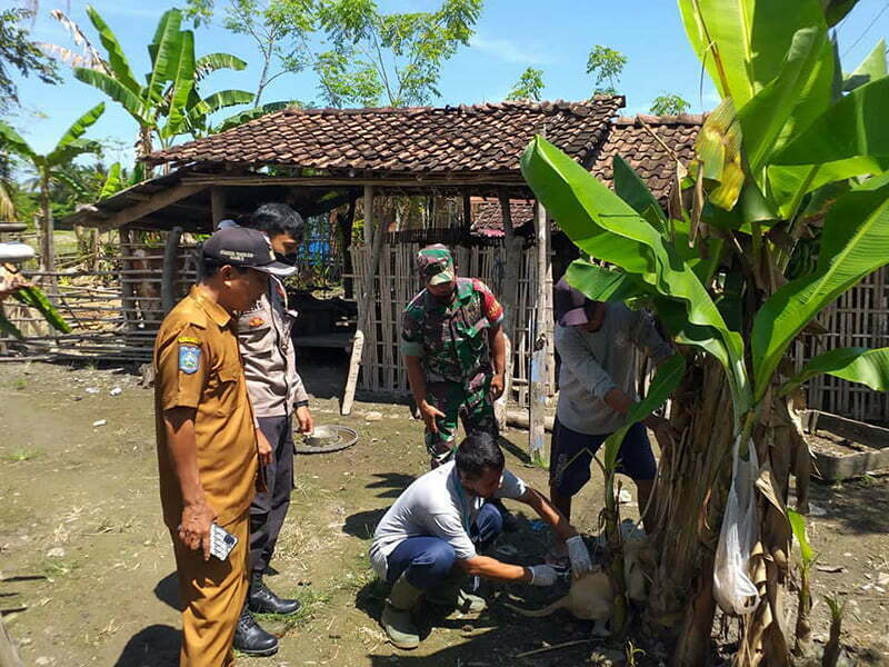 40 Orang Warga KSB Telah Digigit Anjing Gila, TNI dan Polri Kompak Terjun Perang Lawan Rabies - Vaksinasi Rabies Terhadap Anjing Liar